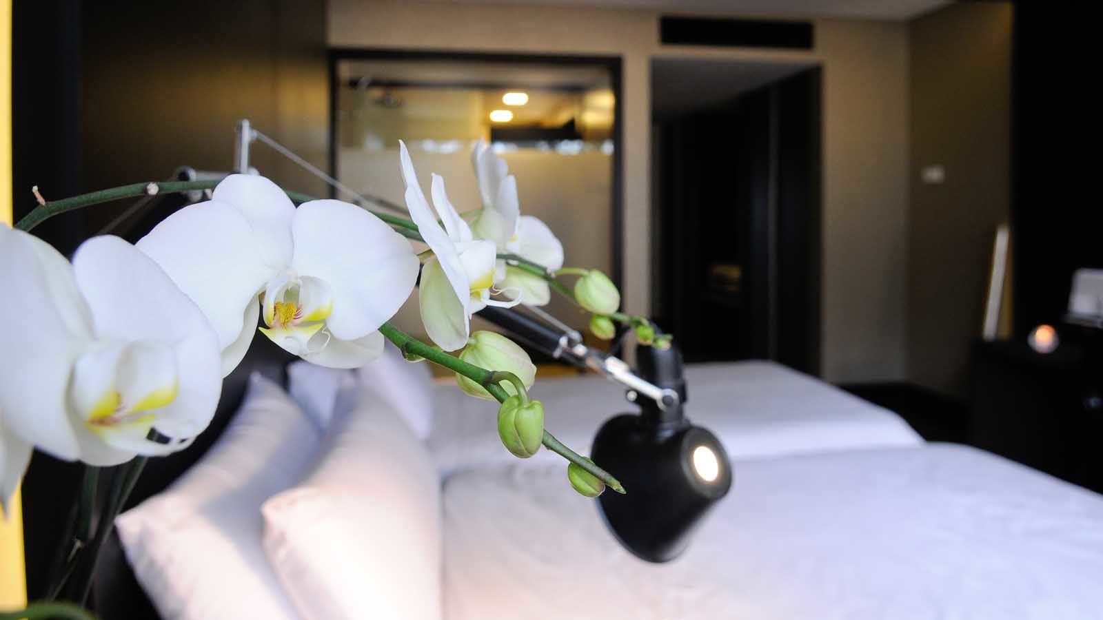 Evidencia Belverde Hotel Amora Eksteriør bilde
